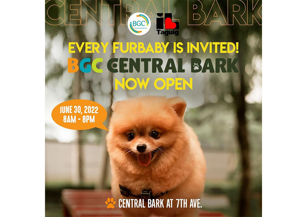 Pet Park in BGC
